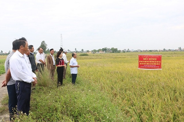 Phát triển sản xuất, nâng cao chất lượng nông thôn mới