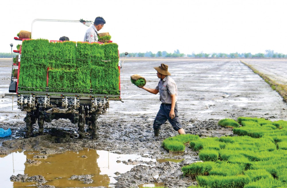 Gỡ nút thắt để HTX đầu tư cơ giới hóa đồng bộ