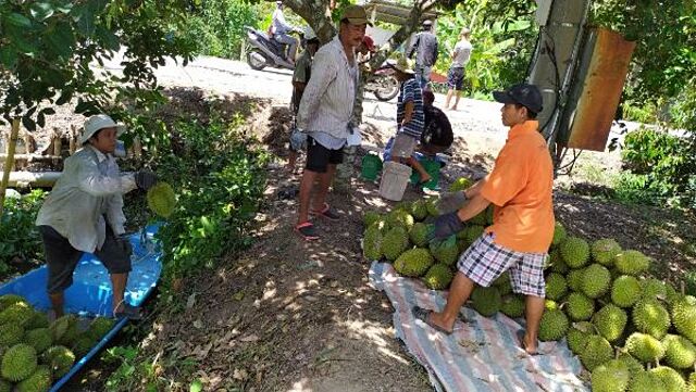 Phát triển sản xuất gắn với nâng cao thu nhập, tạo đà xây dựng NTM