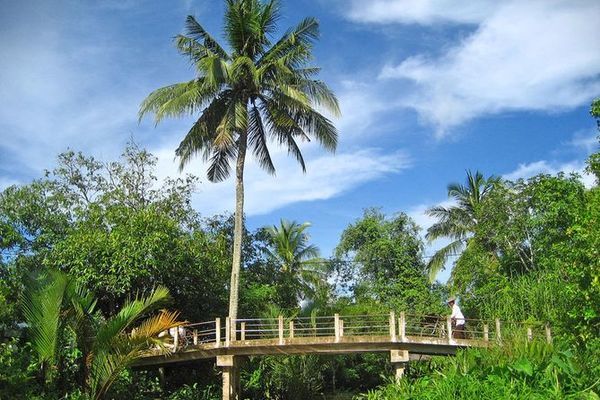 Thạch Phú Đông xây dựng NTM gắn với liên kết chuỗi giá trị sản phẩm