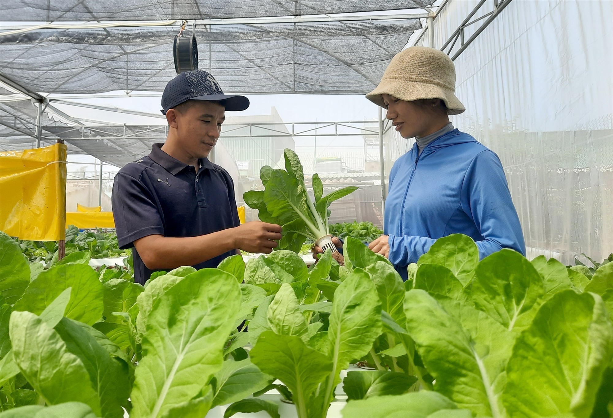 Quy chế tài chính rõ ràng giúp HTX hoạt động hiệu quả