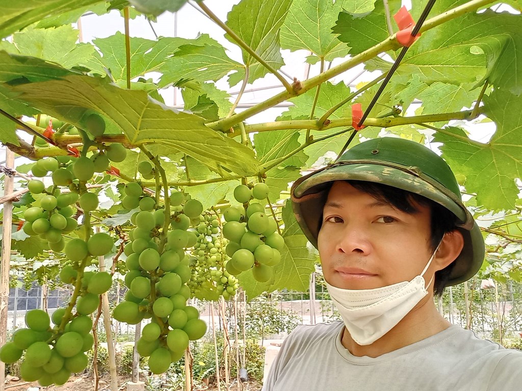 Sản phẩm OCOP góp sức xây dựng thành công nông thôn mới
