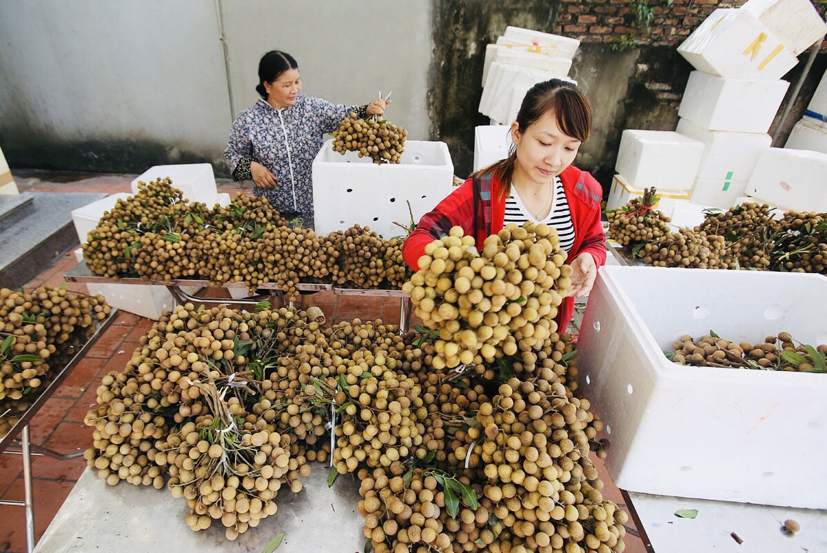 Xuyên Mộc ‘bứt tốc’ đi đầu trong NTM nâng cao
