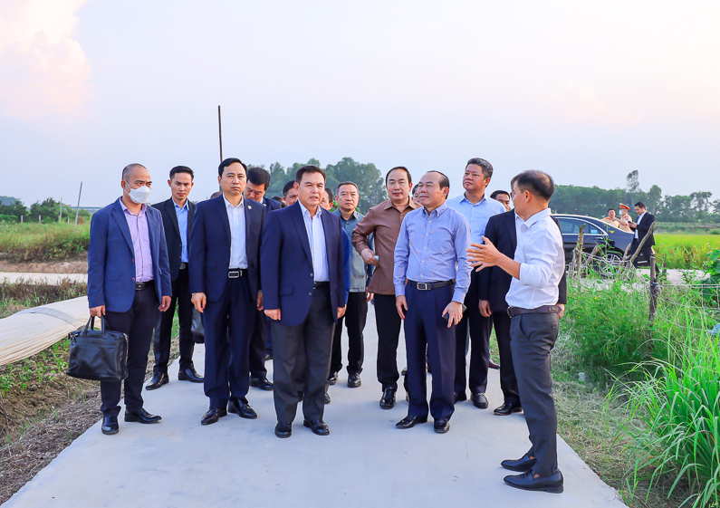 Chủ tịch Quốc hội nước CHDCND Lào khảo sát mô hình Hợp tác xã sản xuất và tiêu thụ rau an toàn Bắc Hồng, Hà Nội