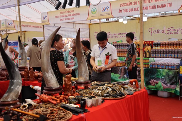 HTX nông nghiệp góp sức xây dựng nông thôn mới ở nơi 'chiêm khê, mùa úng'
