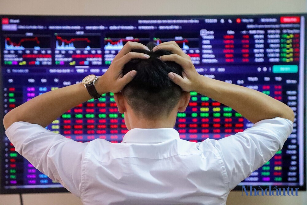 Tránh ngộ nhận dẫn tới 'lạc lối' trong đầu tư chứng khoán