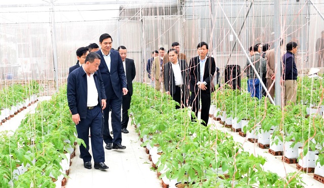 Xây dựng NTM gắn với phát triển nông nghiệp công nghệ cao
