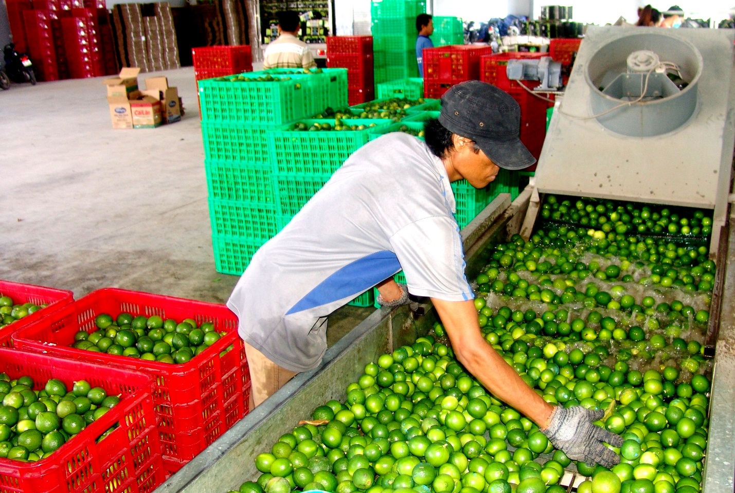 HTX gặp nhiều lực cản trong xanh hóa sản xuất