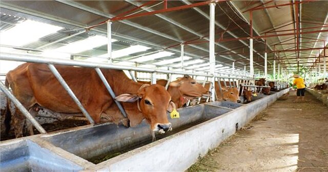 Phát huy tối đa lợi thế địa phương trong xây dựng nông thôn mới