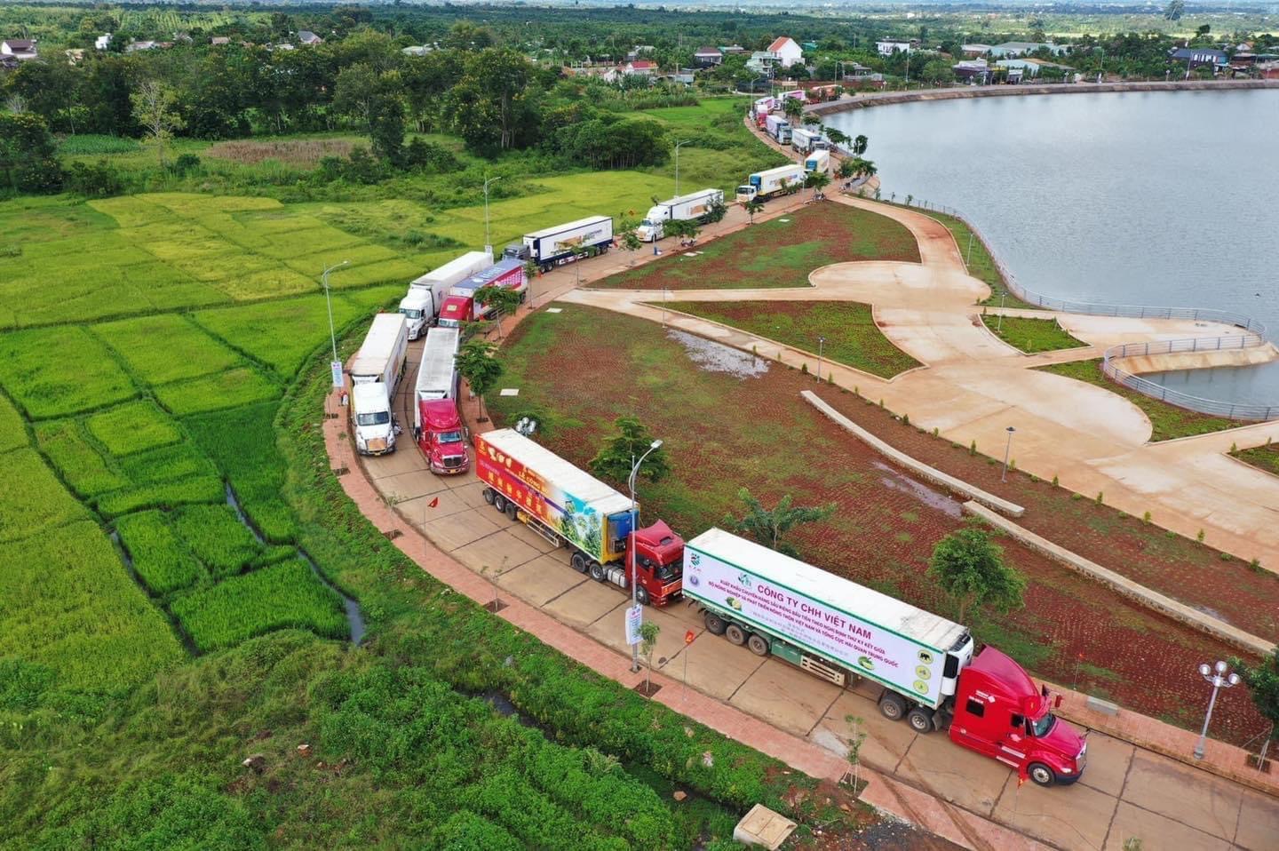 Nông sản của HTX vẫn nặng gánh vì logistics