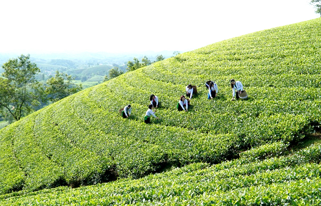 HTX tạo sức bật cho nông thôn mới phát triển