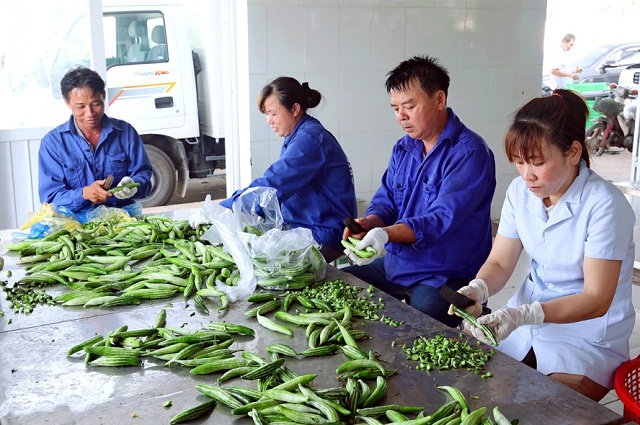 Xây dựng nông thôn mới từ điểm tựa kinh tế tập thể