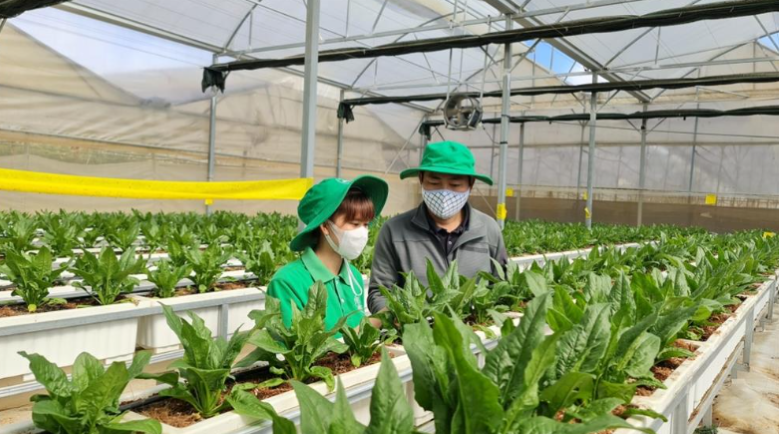 Nông nghiệp thông minh đẩy nhanh tiến trình xây dựng nông thôn mới