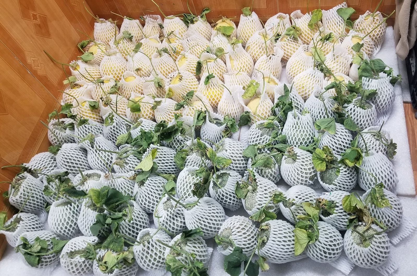 Phát huy nguồn lực xây dựng nông thôn mới ở Kim Thành