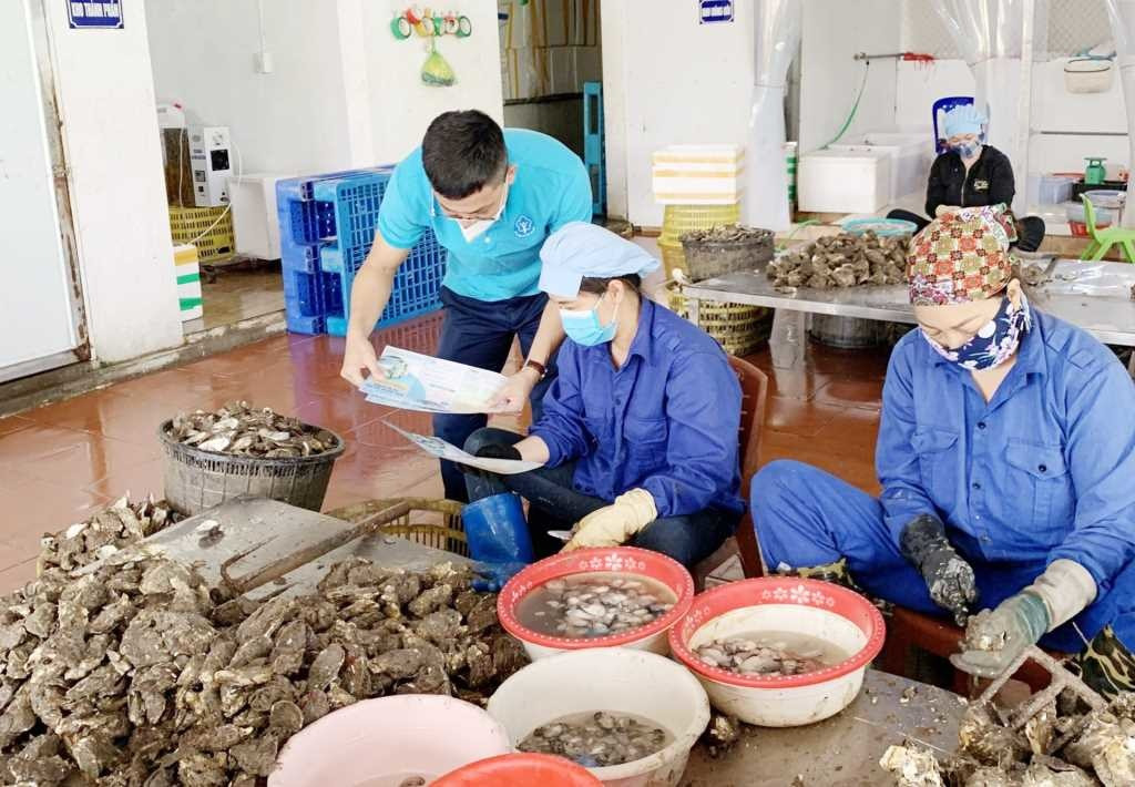 Khai thác dư địa phát triển BHXH trong khu vực hợp tác xã