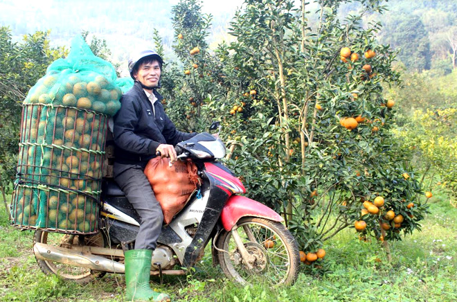 'Quả ngọt' nông thôn mới ở xã vùng cao