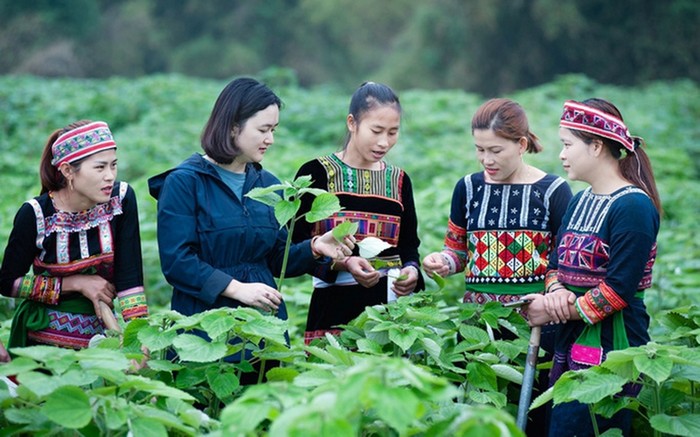Phụ nữ tạo lập vị thế trong môi trường kinh tế tập thể