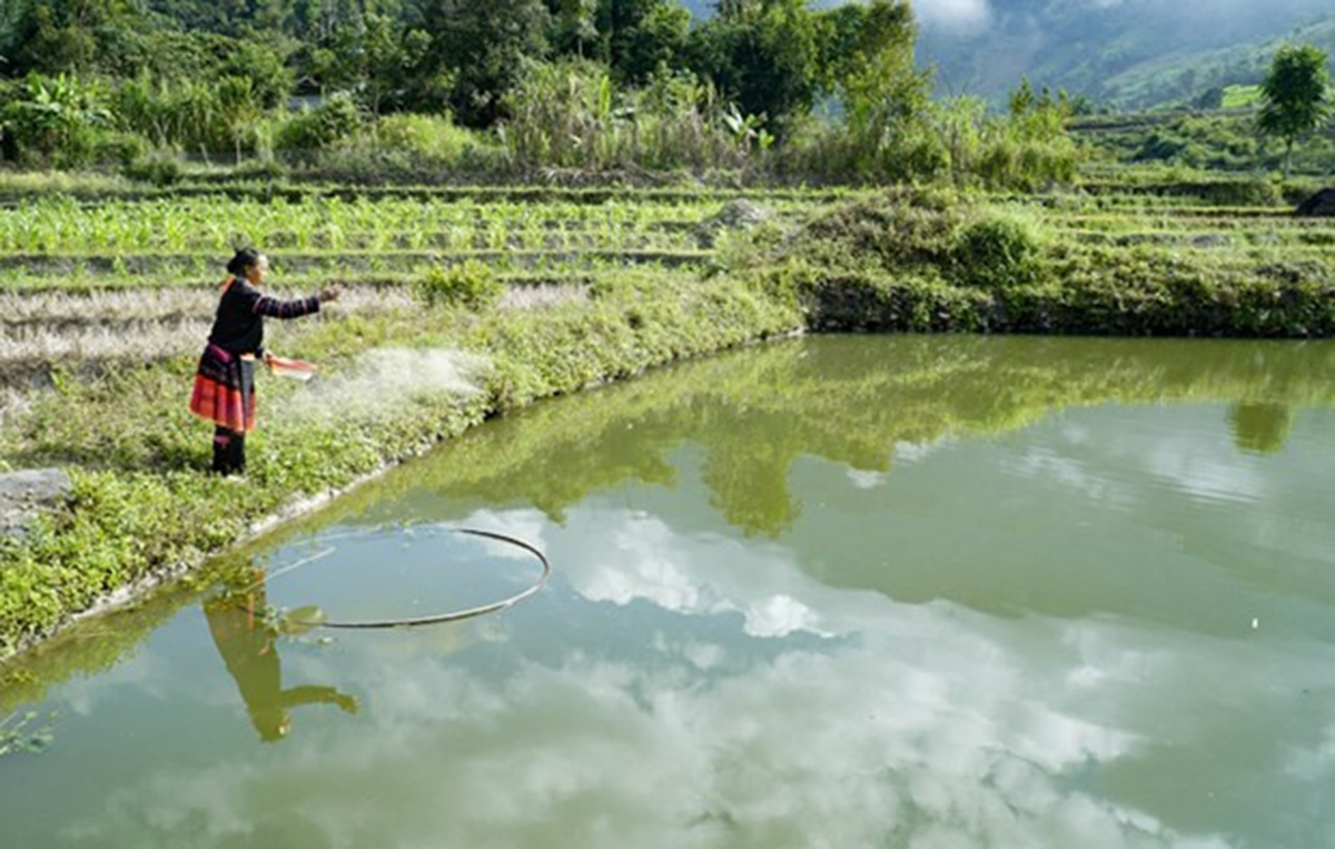 Hoàn thiện sản xuất, mở đường cho nông thôn mới