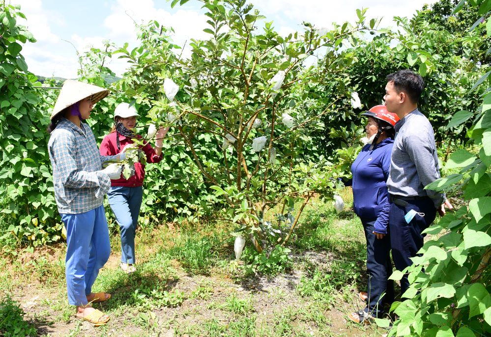 Tăng lực cho lực lượng ‘xung kích’ xây dựng nông thôn mới