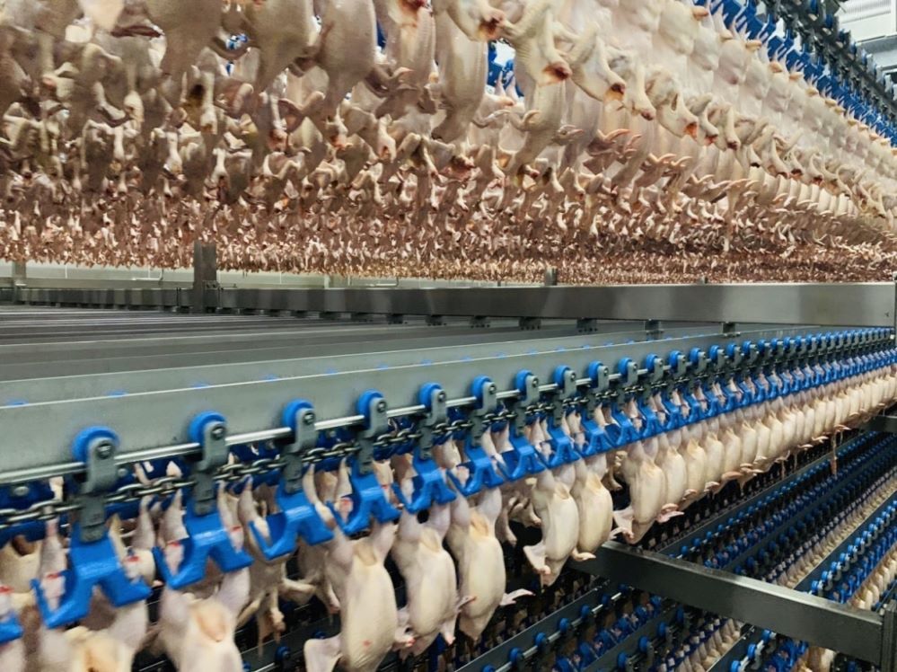 Thịt gà chế biến của Việt Nam được cấp phép xuất khẩu sang 7 thị trường