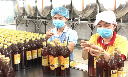 Đối tác nước nào là nhờn xuất khẩu lớn nhất của mật ong Việt Nam?
