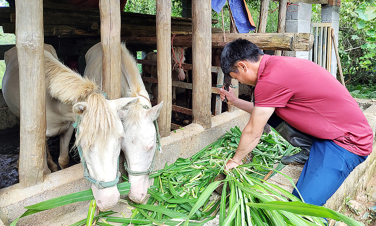 Dồn sức xây dựng nông thôn mới