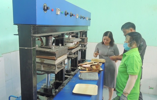 Sản xuất xanh gắn với giảm nghèo bền vững ở xứ Quảng