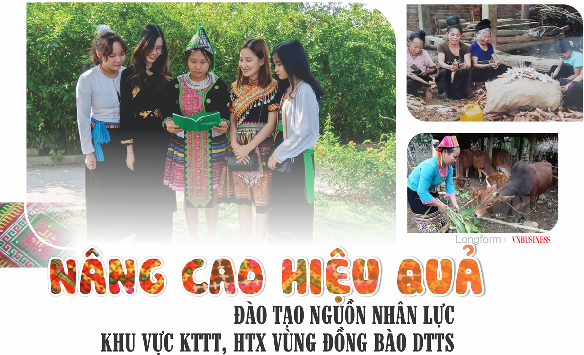 Nâng cao hiệu quả đào tạo nguồn nhân lực khu vực KTTT, HTX vùng đồng bào DTTS