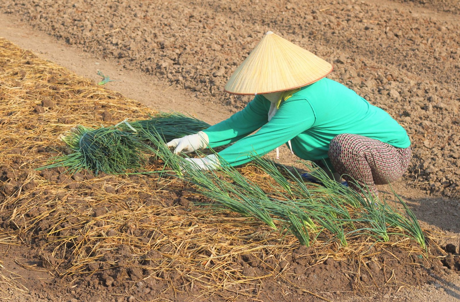 HTX trước nỗi lo tăng tốc cuối năm
