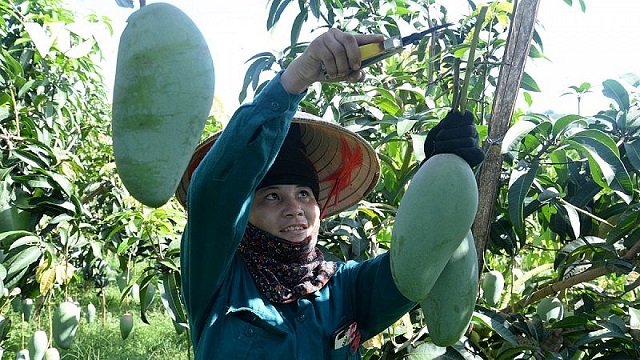 Chú trọng nâng cao 'tiêu chí mềm' trong xây dựng nông thôn mới