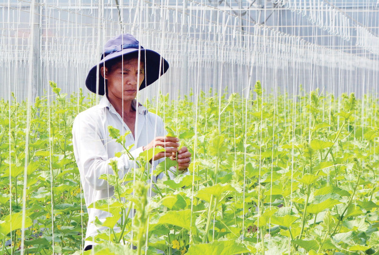 HTX 'đau đầu' khi cơn sốt đất tràn về nông thôn