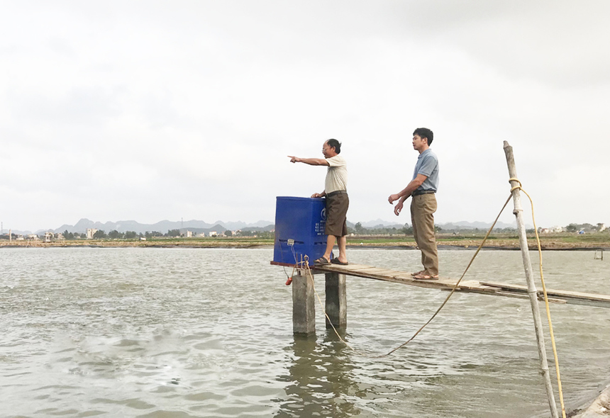 Thành lập HTX thủy sản: Thuận lợi nhiều, khó khăn cũng không ít