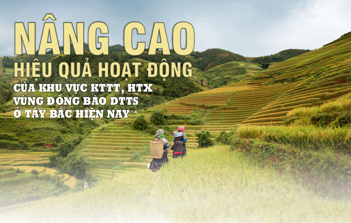 Nâng cao hiệu quả hoạt động của khu vực KTTT, HTX vùng đồng bào DTTS ở Tây Bắc