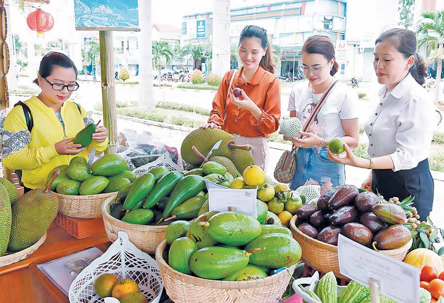 Xúc tiến thương mại: 'Bà mối' cho đầu ra của HTX