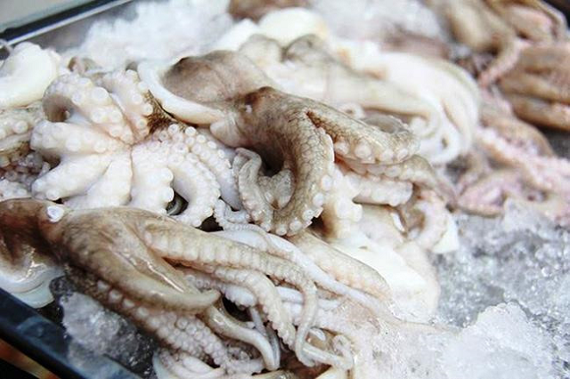 Kim ngạch XK mực, bạch tuộc có thể đạt 734 triệu USD, tăng 22% so với năm 2021
