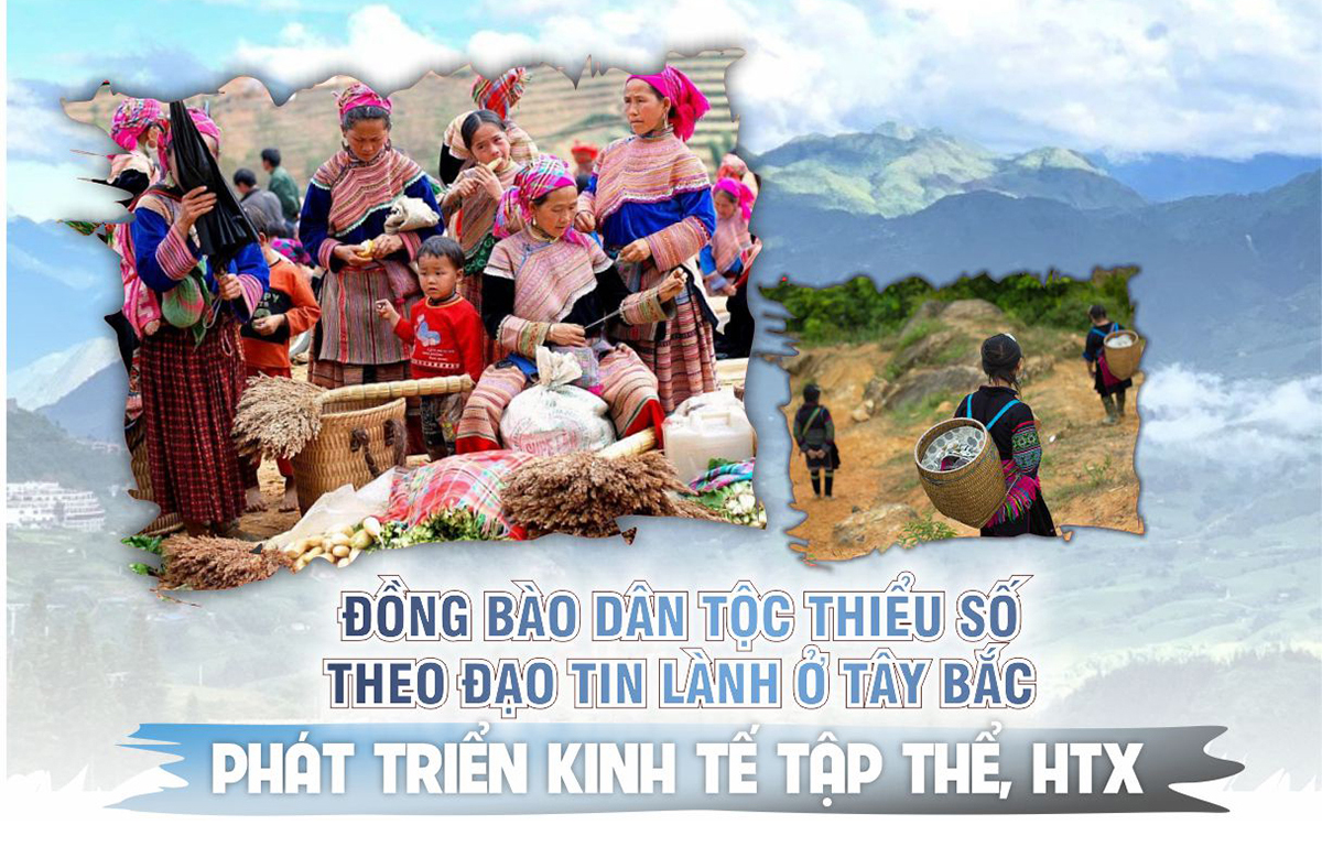 Đồng bào dân tộc thiểu số theo đạo Tin Lành ở Tây Bắc phát triển kinh tế tập thể, HTX