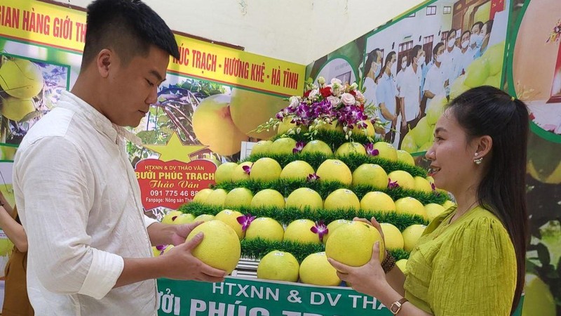 Kinh nghiệm xây dựng nông thôn mới từ phát triển kinh tế vườn ở Hương Khê