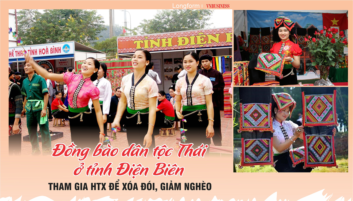 Đồng bào dân tộc Thái ở tỉnh Điện Biên tham gia HTX               để xóa đói, giảm nghèo