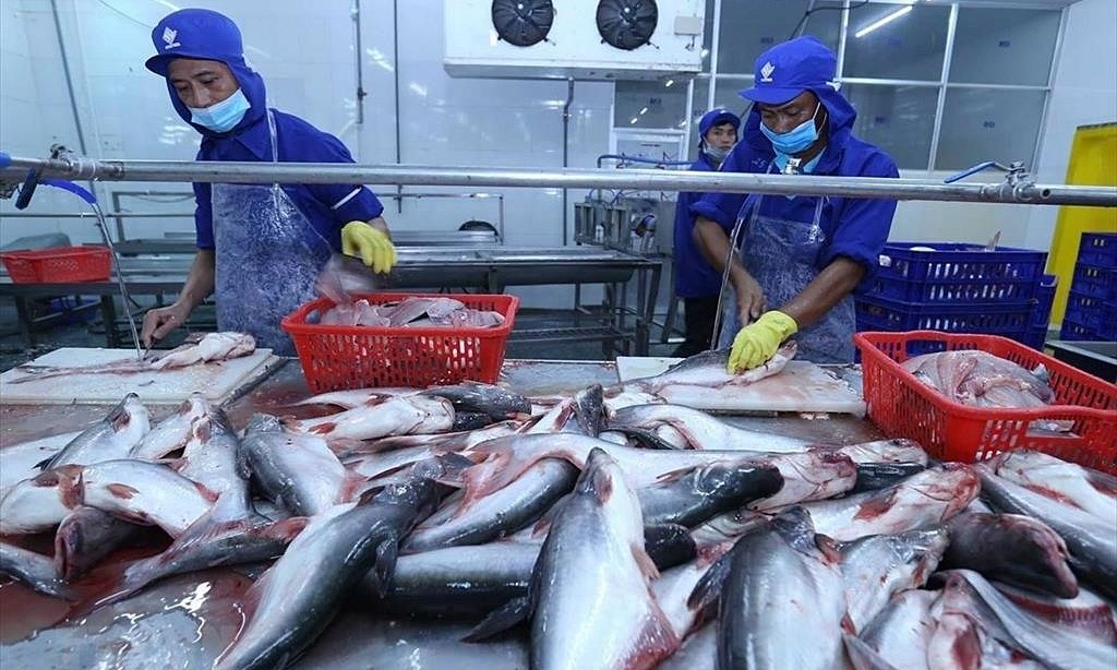 Xuất khẩu cá tra tháng 10 bất ngờ xuống mức thấp nhất năm