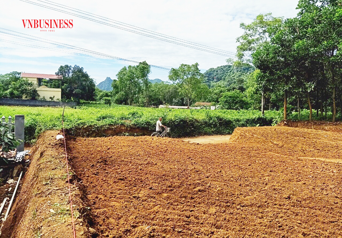 Rót tiền tỷ gom đất nông nghiệp bị 'ngộp'