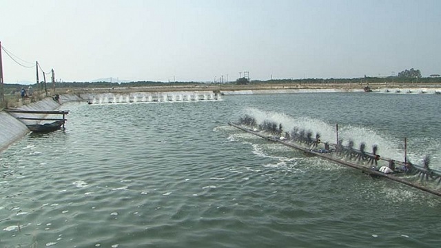 Sức sống mới ở các xã bãi ngang ven biển