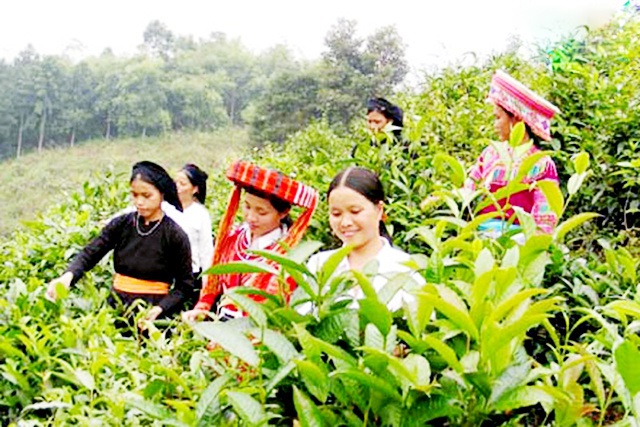 Dân vận khéo trong công tác giảm nghèo vùng dân tộc thiểu số