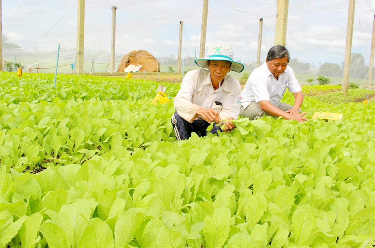 Những 'ngòi nổ' trong xây dựng nông thôn mới ở Đồng Nai
