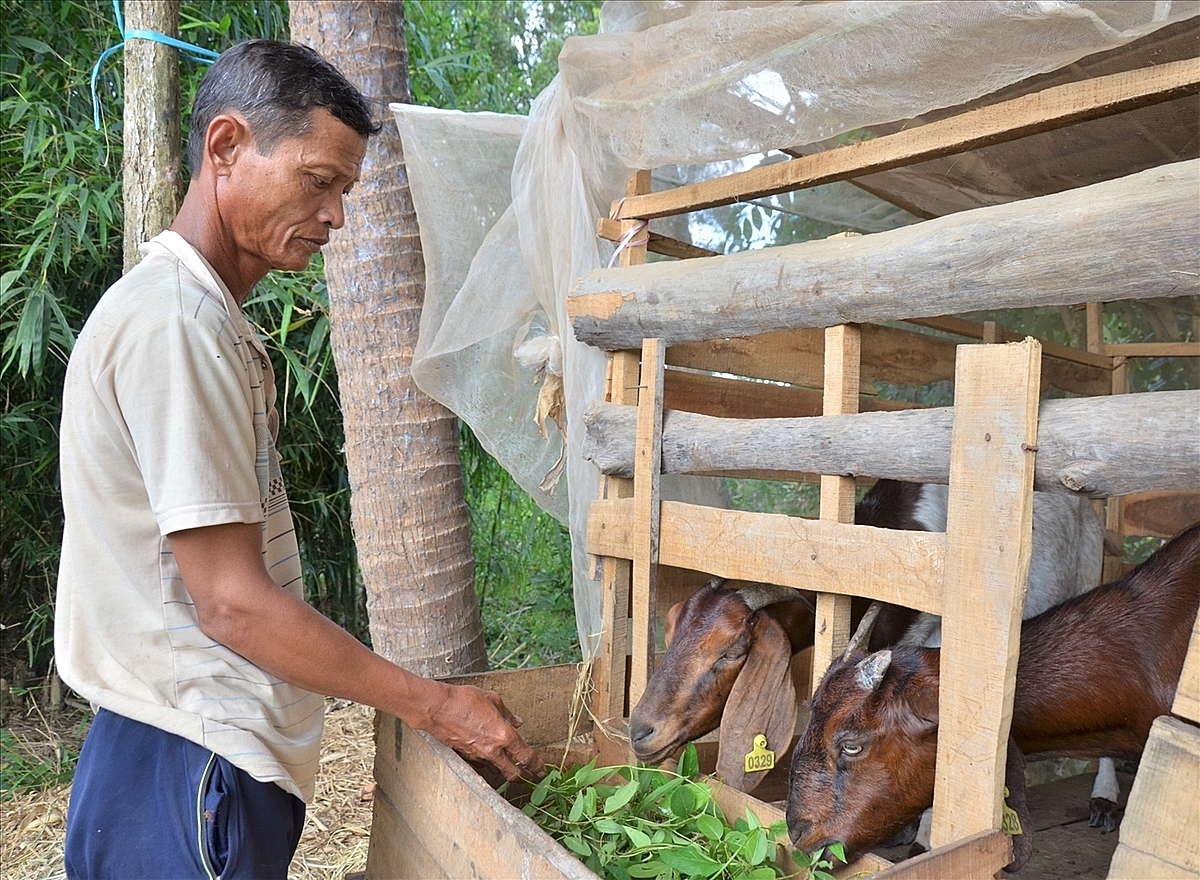 Người Khmer ở Bạc Liêu làm kinh tế tập thể