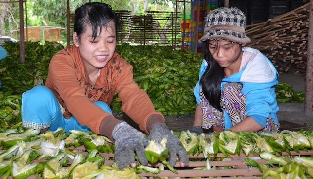 Thay đổi tập quán canh tác góp phần xây dựng nông thôn mới