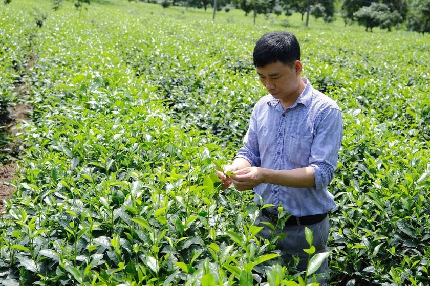 Lực lượng xung kích xây dựng nông thôn mới Yên Sơn