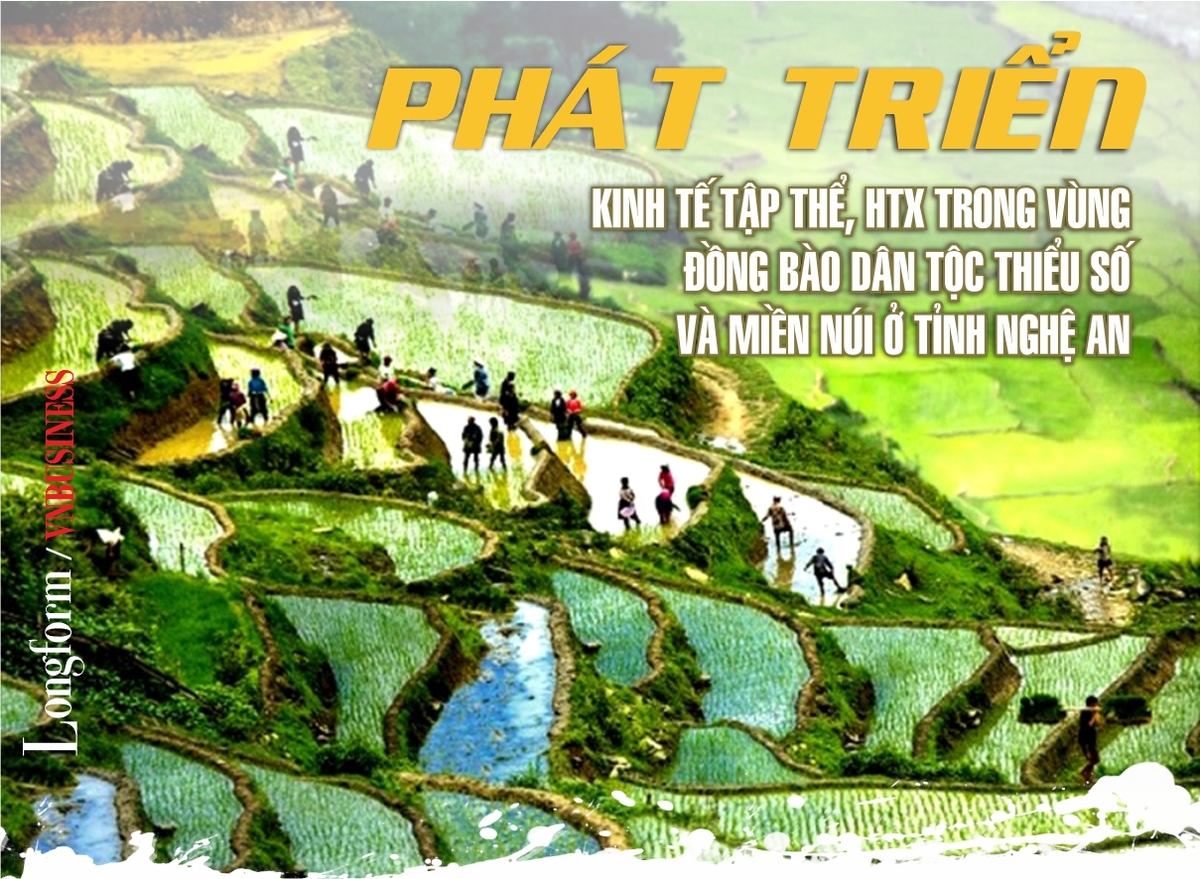 Phát triển kinh tế tập thể, HTX trong vùng đồng bào dân tộc thiểu số  và miền núi ở tỉnh Nghệ An