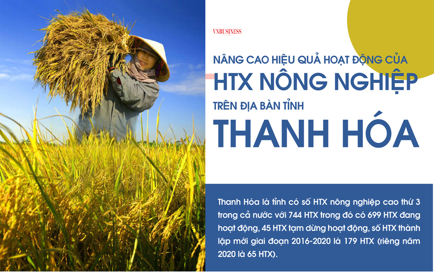 Chi tiết nông nghiệp  Báo Bắc Ninh