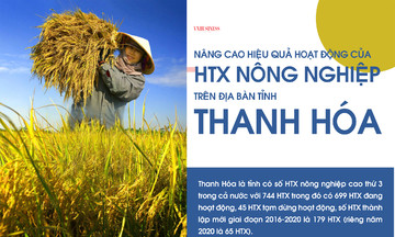Nâng cao hiệu quả hoạt động của các HTX nông nghiệp trên địa bàn tỉnh Thanh Hóa