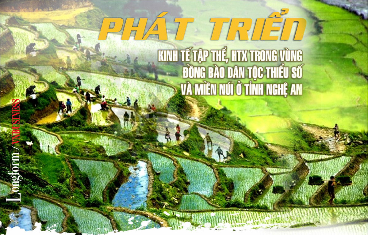 Phát triển kinh tế tập thể, HTX trong vùng đồng bào dân tộc thiểu số  và miền núi ở tỉnh Nghệ An